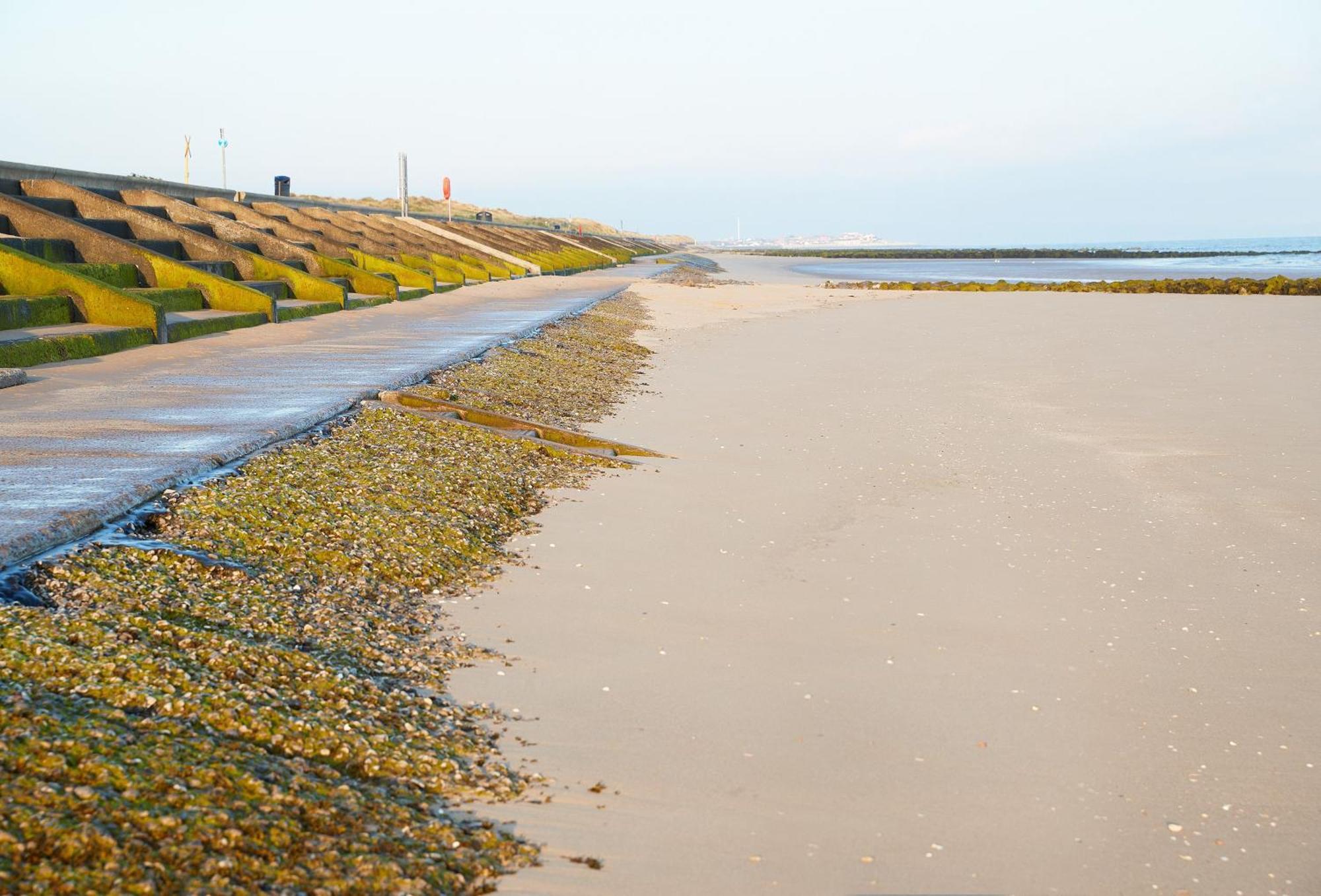 The Barn At Plas Ashpool Sleeps 8 Llandyrnog Luaran gambar